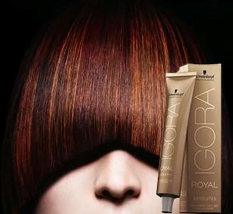 Tintes Igora Royal Absolutes de Schwarzkopf