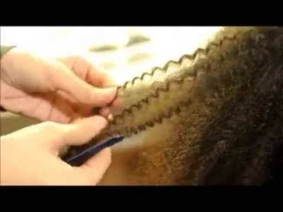 Plancha Be Color Frizz Style Irene Rios - Imagen 2
