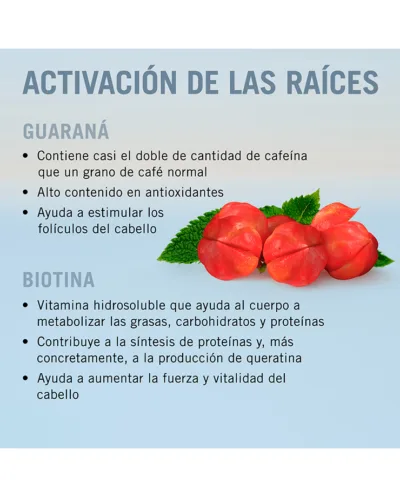 Sérum Activador de Raíces BC Scalp Genesis