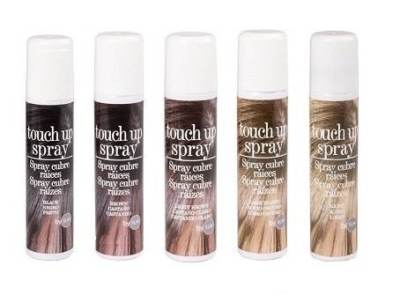 Spray Cubre Canas Touch Up