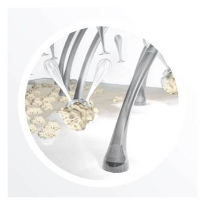 Tratamiento sin aclarado Nioxin System 5 Paso 3 - Imagen 4