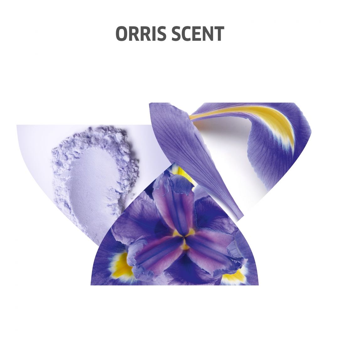 Champú cabellos rubios Wella - Imagen 4