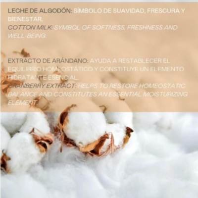 Mascarilla Capilar Glacial cabellos lisos Valquer - Imagen 2