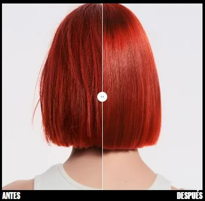 Champú sin sulfatos Wella Ultimate Color - Imagen 2
