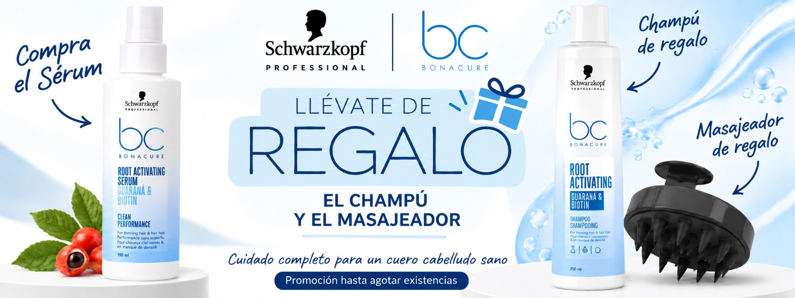BANNER CAÍDA SCHWARZKOPF